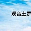 观音土是什么成分（观音土是什么）
