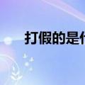 打假的是什么意思（假打是什么意思）