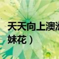 天天向上澳洲姐妹花是哪期（天天向上澳洲姐妹花）