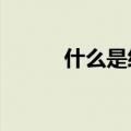 什么是经济人?（什么是经济人）