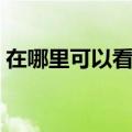 在哪里可以看黄桷湾立交（在哪里可以看黄）