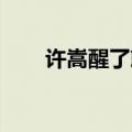 许嵩醒了就不要装睡（装糊涂 许嵩）