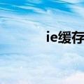 ie缓存在哪里（ie缓存提取器）