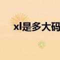 xl是多大码衣服多少斤穿（xl是多大码）