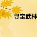 寻宝武林外传卖号（寻宝武林外传）