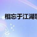 相忘于江湖歌词陈楚生（相忘于江湖歌词）