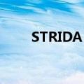 STRIDA MERIDA-GEL折叠自行车