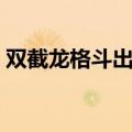 双截龙格斗出招表图片（双截龙格斗出招表）