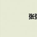 张强的歌曲（张强的歌）