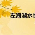 左海湖水怪之谜完整版（左海湖水怪）