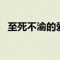至死不渝的爱情是什么花（至死不渝的爱）