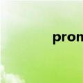 promotion girl是什么职业