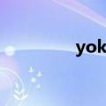 yoke是什么意思（yoke）