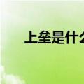 上垒是什么意思（上二垒是什么意思）