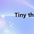 Tiny thief女巫迷阵（tiny thief）