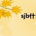 sjb什么意思?（sjb什么意思）