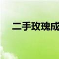 二手玫瑰成员介绍梁龙（二手玫瑰成员）