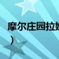 摩尔庄园拉姆飞行考试怎么飞（拉姆飞行考试）