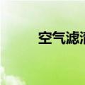 空气滤清器滤芯是什么（空滤器）