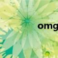 omg什么意思（omg指令）