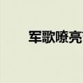 军歌嘹亮节目（军歌嘹亮 天津卫视）