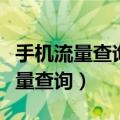 手机流量查询怎么查询移动（移动手机上网流量查询）