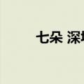 七朵 深圳大学（深圳大学七朵花）