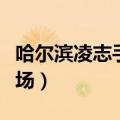 哈尔滨凌志手机连锁总店（哈尔滨凌志手机卖场）