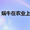 蜗牛在农业上是什么（蜗牛在农业生产上是）