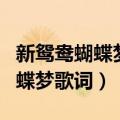 新鸳鸯蝴蝶梦歌词表达了什么意思（新鸳鸯蝴蝶梦歌词）