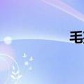 毛孩 毛毛（毛孩资料）