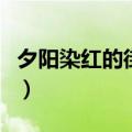 夕阳染红的街道好看吗（夕阳染红的街道攻略）