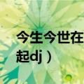今生今世在一起DJ嗨的动作（今生今世在一起dj）