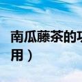 南瓜藤茶的功效与作用（南瓜藤汁的功效与作用）