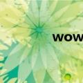 wow选矿技能（wow选矿）