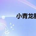 小青龙胶囊的功能（小青龙胶囊）
