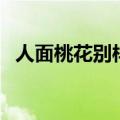 人面桃花别样红电视剧（人面桃花别样红）