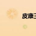 皮康王价格表（皮康王价格）