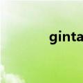 gintama怎么读（gintama）