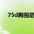 75d胸围是多少厘米（75d胸围是多少）