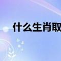 什么生肖取之不尽（取之不尽打一生肖）