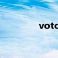votoo（voto是什么牌子）