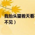 我抬头望着天看不见乌云遮住了是什么歌（我抬头望着天看不见）