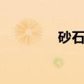 砂石密度系数（砂石密度）