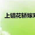 上错花轿嫁对郎主题曲（上错花轿嫁错郎）