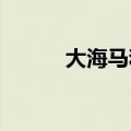 大海马和小海马（wow小海马）