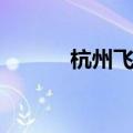 杭州飞机票查询（杭州飞机票）