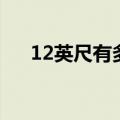 12英尺有多少厘米（12英尺是多少米）