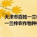 天津市百姓一兰梓农作物种植专业合作社（关于天津市百姓一兰梓农作物种植专业合作社简介）