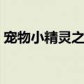 宠物小精灵之黑暗之辉（宠物小精灵之一辉）